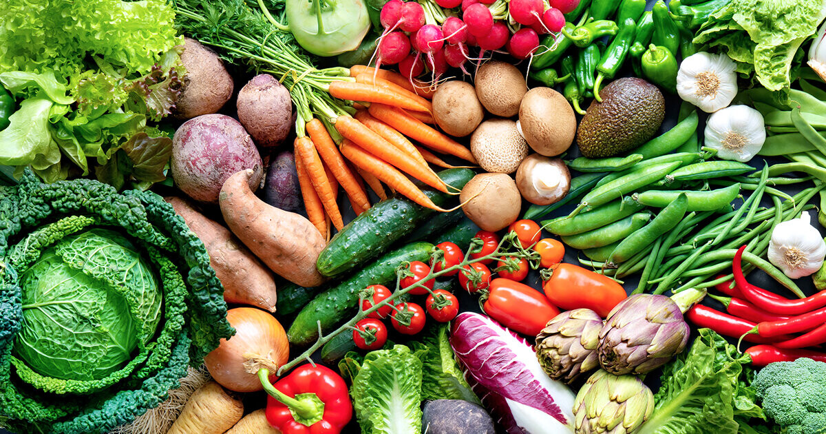 JOÃO LOURENÇO DEFENDE AGRICULTURA COMO MOTOR DA DIVERSIFICAÇÃO ECONÓMICA EM ANGOLA