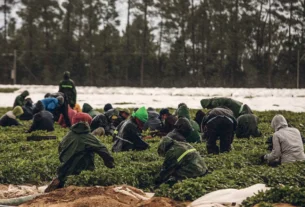 SAÍDAS DE TRABALHADORES IMIGRANTES DE PORTUGAL DISPARAM 40% EM 2024