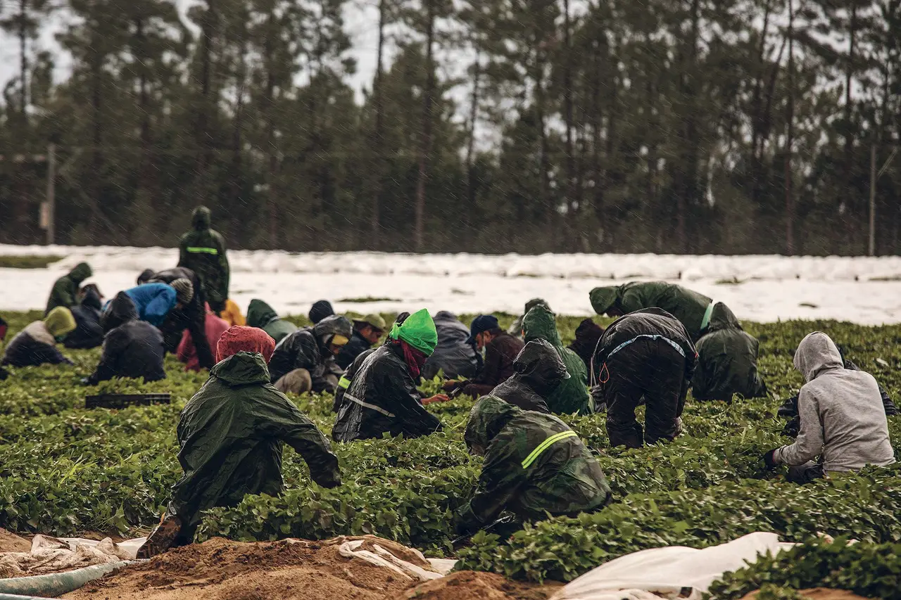 SAÍDAS DE TRABALHADORES IMIGRANTES DE PORTUGAL DISPARAM 40% EM 2024